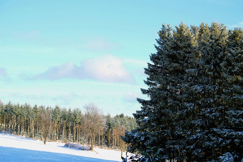 Winter landscape by Bianca Beekmans