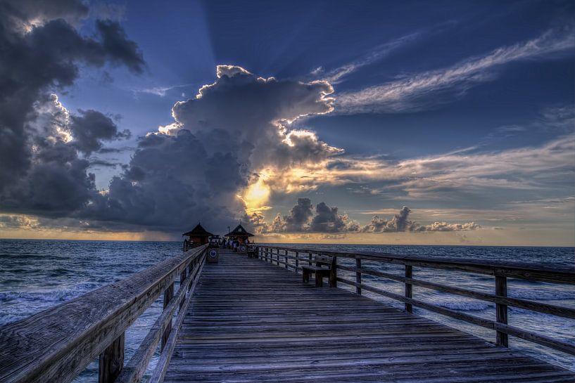 Naples Florida by Rene Ladenius Digital Art