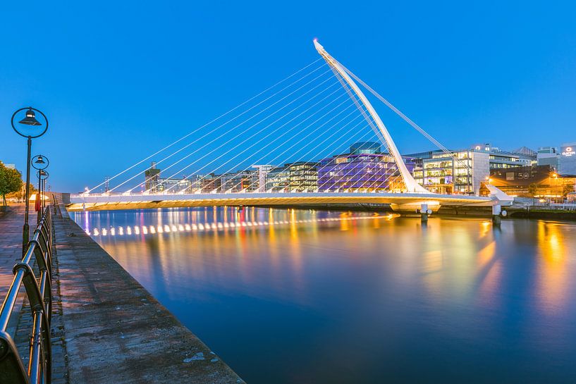 Pont Samuel Beckett, Dublin, Irlande par Henk Meijer Photography