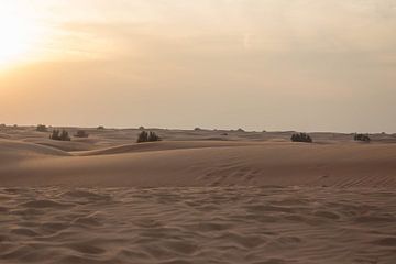 Dubai Desert II van Chantal Cornet
