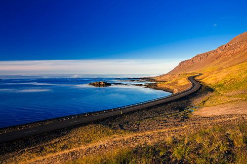Droomweg in IJsland van Dieter Meyrl
