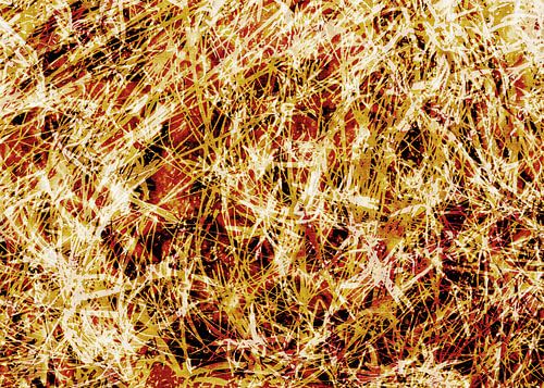 Gouden stilte. Zen in de natuur.