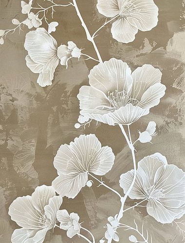 Witte Bloemen | Zachte Witte Bloemen voor Tuin