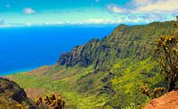 La vallée de Kalalau, Hawaii par GoWildGoNaturepictures Aperçu