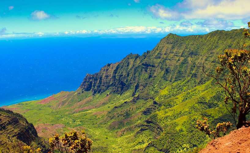La vallée de Kalalau, Hawaii par GoWildGoNaturepictures
