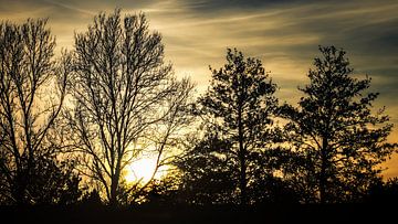 Frühlingssonne am Abendhimmel