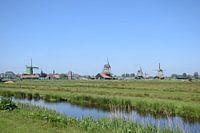 windmolens zaanse schans