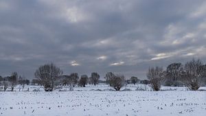 a winter landscape von Koen Ceusters