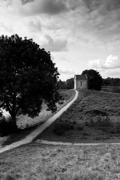 Benedensas by M. van Oostrum