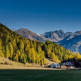 Sunny autumn day in the Val Müstair by Sean Vos