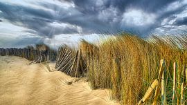 Dünengras und Gewitter an der Nordsee von Herbert Böck