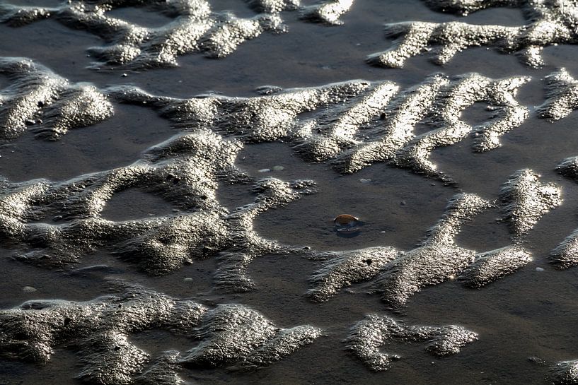 Sandstruktur | Das Wattenmeer | Terschelling - 3 von Marianne Twijnstra