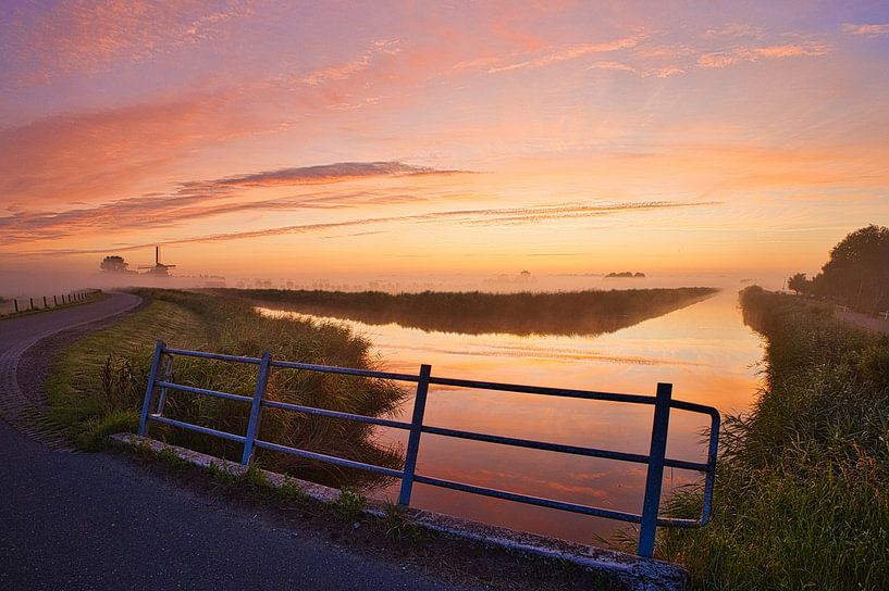 The Low Angle in the fog by peterheinspictures