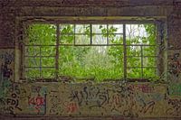 Overgrown - Urbex