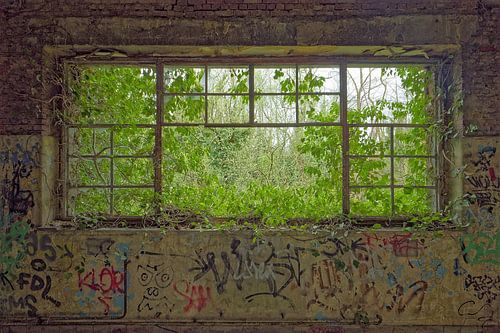 Verlassen und zugewachsen - Urbex