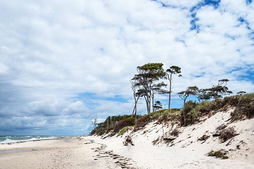Het westelijke strand aan de Fischland-Darß
