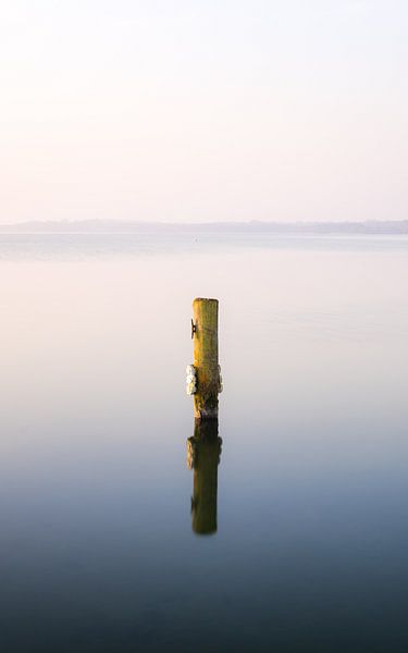 Ochtendsfeer aan het meer van Nils Steiner