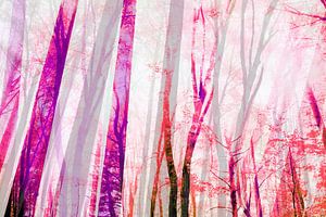 Sommer im Wald