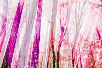 Sommer im Wald von FRESH Fine Art