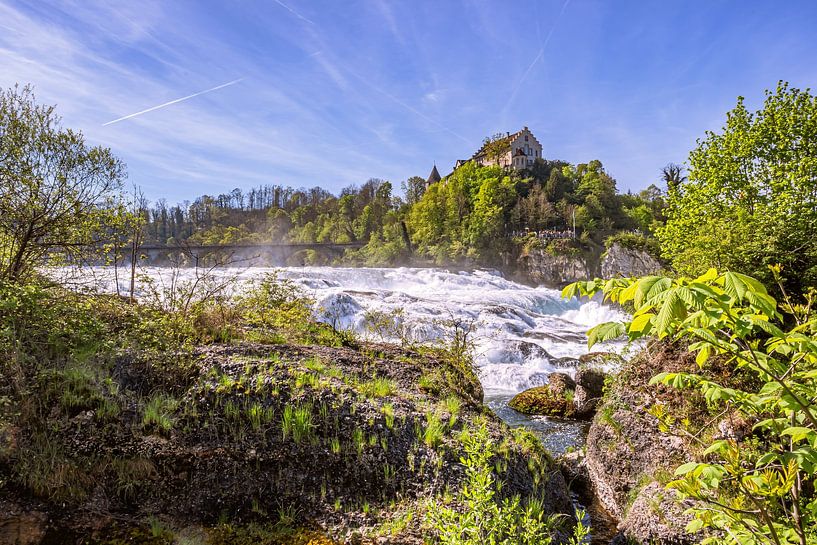 SCHWEIZ : RHEINFALL SCHAFFHAUSEN von Photoart-Naegele