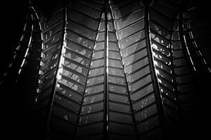 Lijnen in zwart-wit van Bert Meijer
