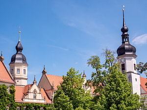 Skyline von Riesa in Sachsen