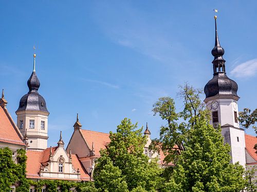 Skyline van Riesa in Saksen