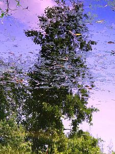 Urban Reflections 135