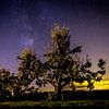 Perenbomen onder de sterren van Niels Eric Fotografie