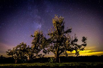 Perenbomen onder de sterren van Niels Eric Fotografie