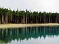 T Nije Hemelriek