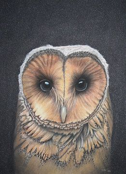 Uil in pastel van Sissi Waasdorp