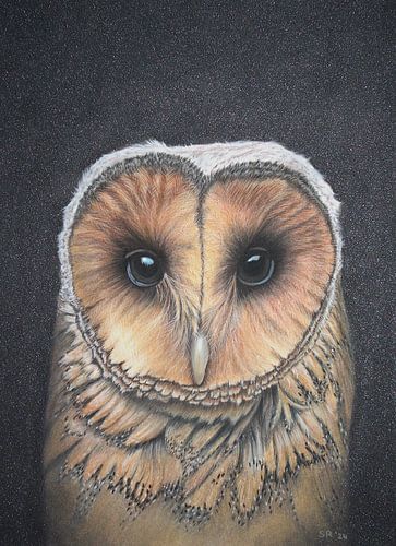 Hibou en pastel