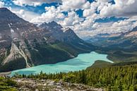 Peyto Lake (Canada) by Eelke Brandsma thumbnail