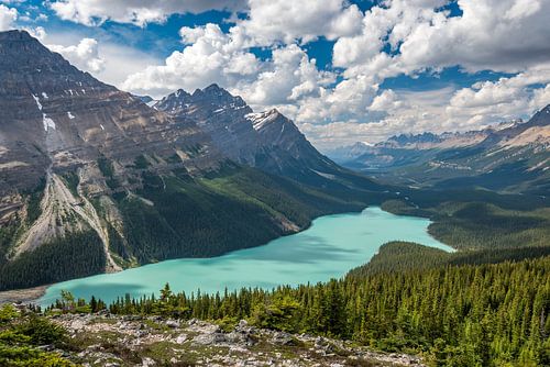 Lac Peyto (Canada)