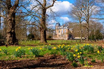 Lente in het Park van Brasschaat