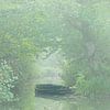 Boot in mist van Thijs Friederich