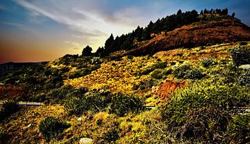Natuur op TENERIFE, in de morgendstond voor dat de zon opkomt  ,met berg op de achtergrond
