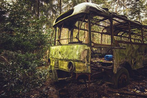 Abandoned bus in a forest