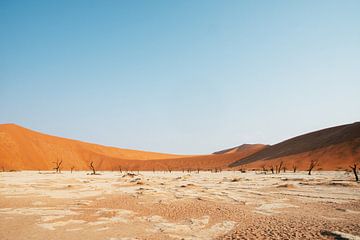 Deadvlei || Namibië, Sossusvlei van Suzanne Spijkers