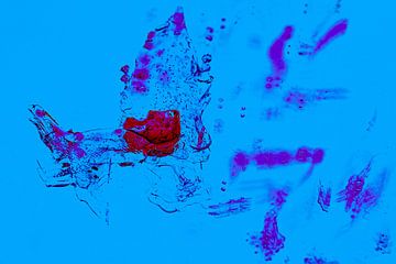Eiscreme in Rot und Blau. von Huub de Bresser