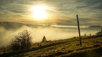 Nebelschwaden in der Rhön