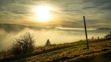 Wafts of mist in the Rhön by Andre Michaelis