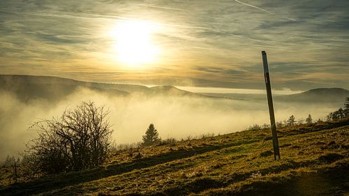Nebelschwaden in der Rhön
