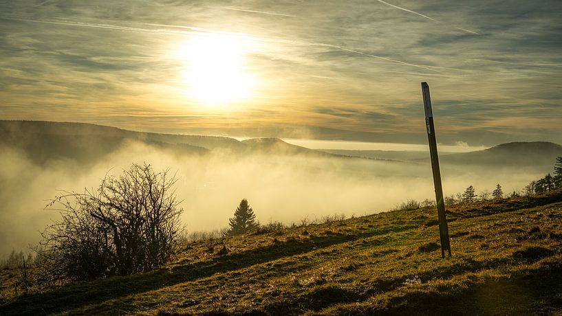 Nebelschwaden in der Rhön von Andre Michaelis