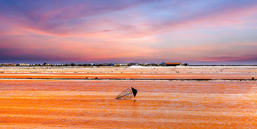 Metallskulptur in der Saline Saint-Martin bei Gruissan von Photo Art Thomas Klee