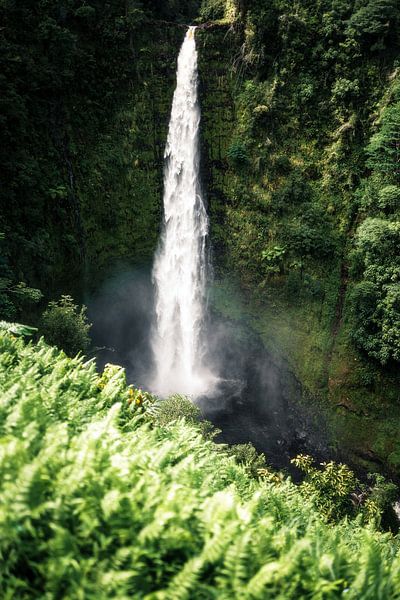 Waterval Hawaii van road to aloha