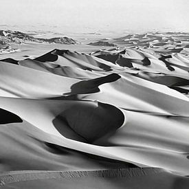 Niger. Sahara. Ténéré Desert. Sand dunes of Arakao. by Frans Lemmens