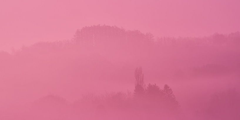Kleurspeling en vleugje rood van Geert Perdaens