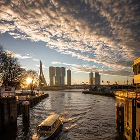 Ein neuer Tag in Rotterdam von Maarten Hooijmeijer